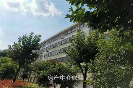 新都花园2室1厅1卫43万70m2简单装修出售